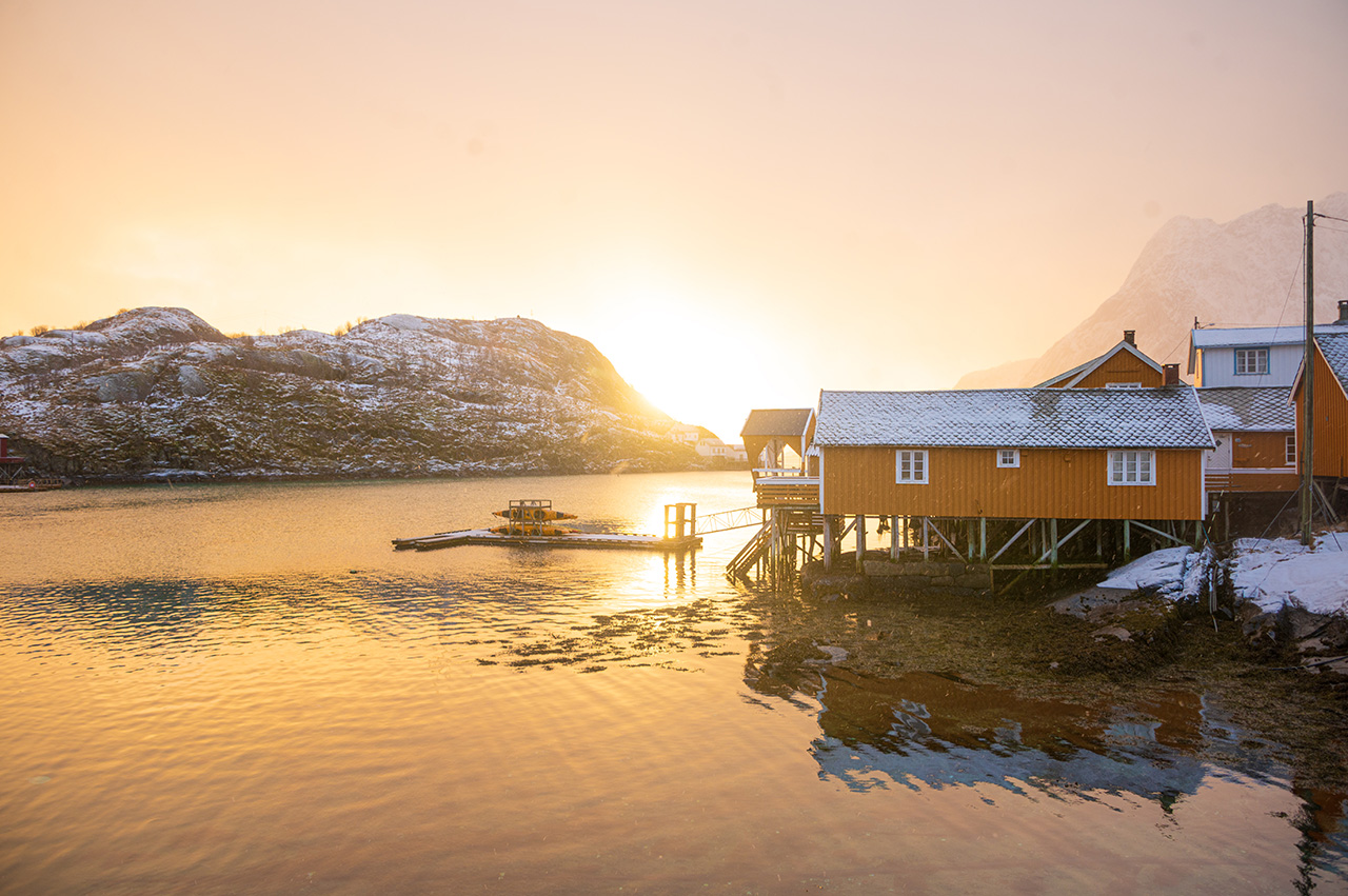 Lofoten Road Trip to Reine