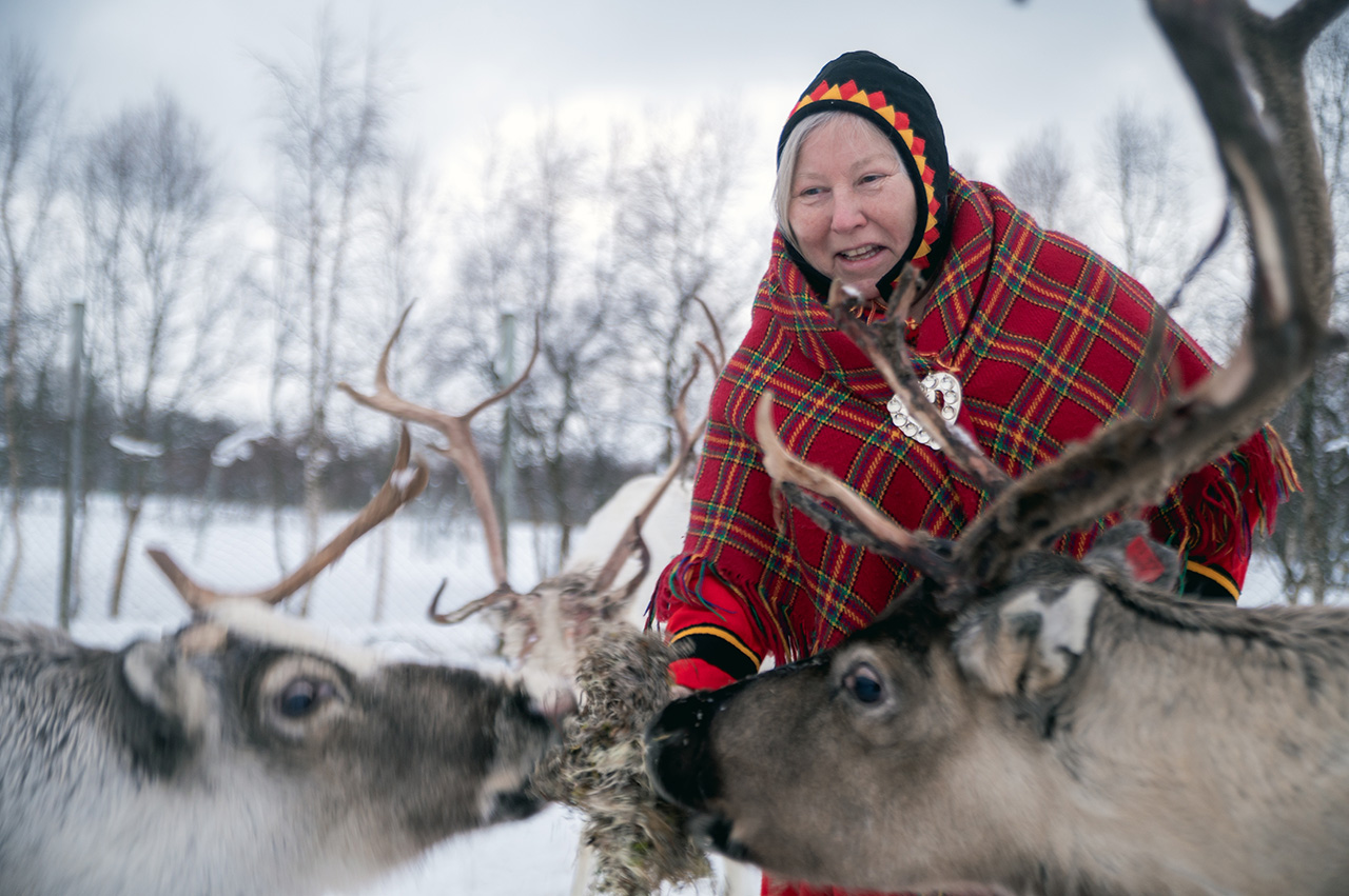 Sami Reindeer Experience
