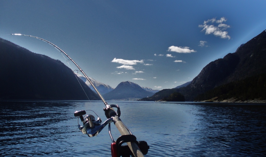 Fishing tour