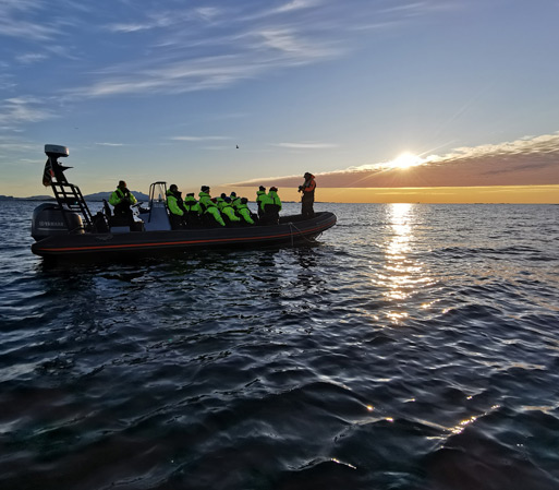 Rib Expedition