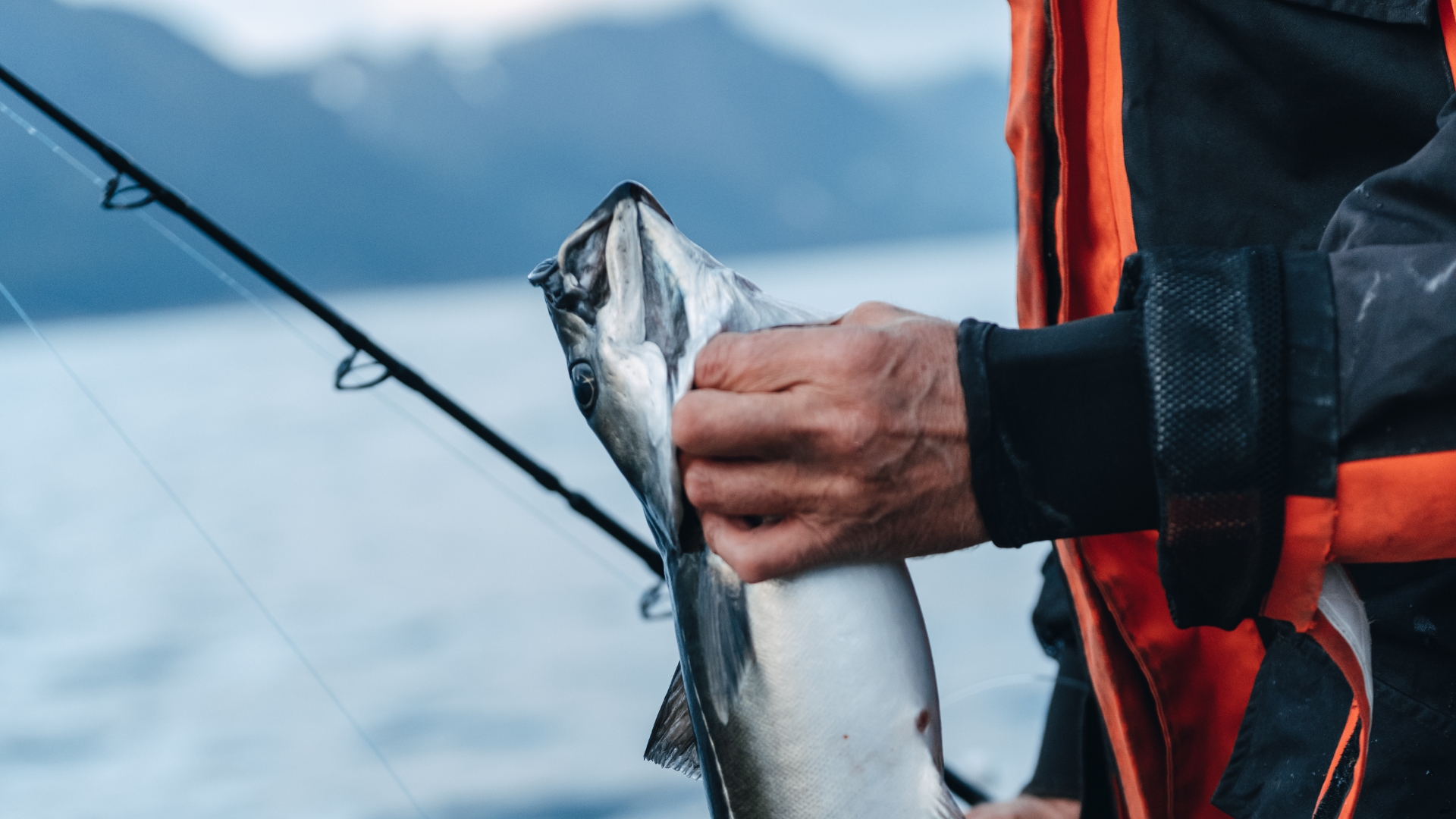Havfiske i Nuvsvåg