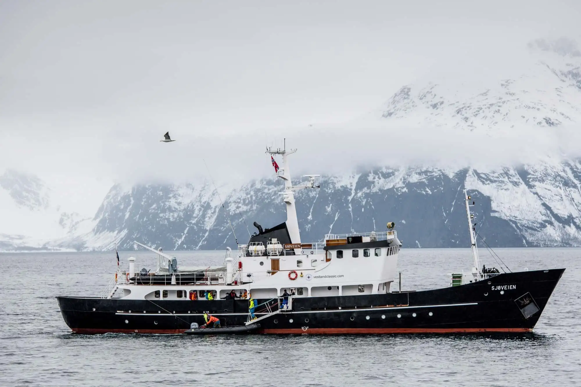 Arktisk ski & sail på en klassisk yacht