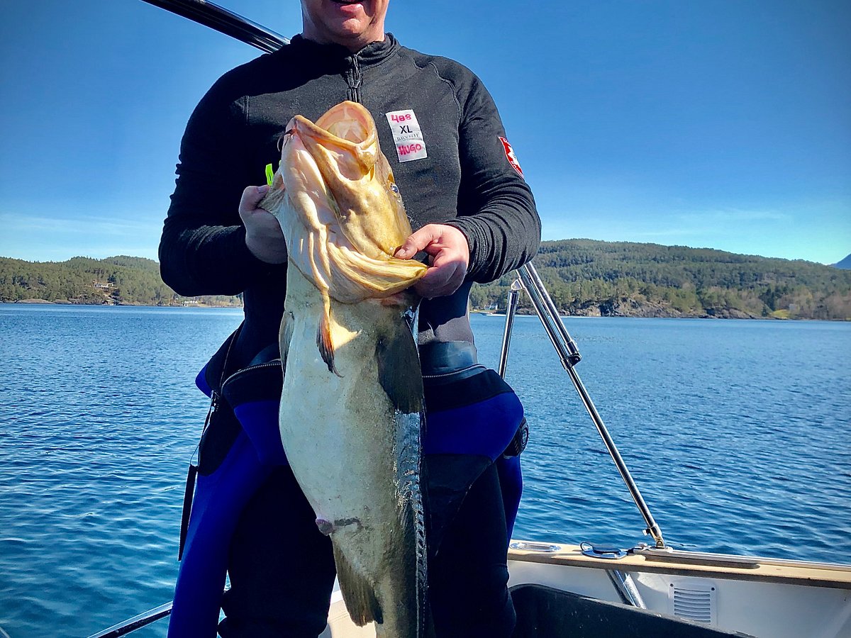 Fisketur i Bjørnafjorden
