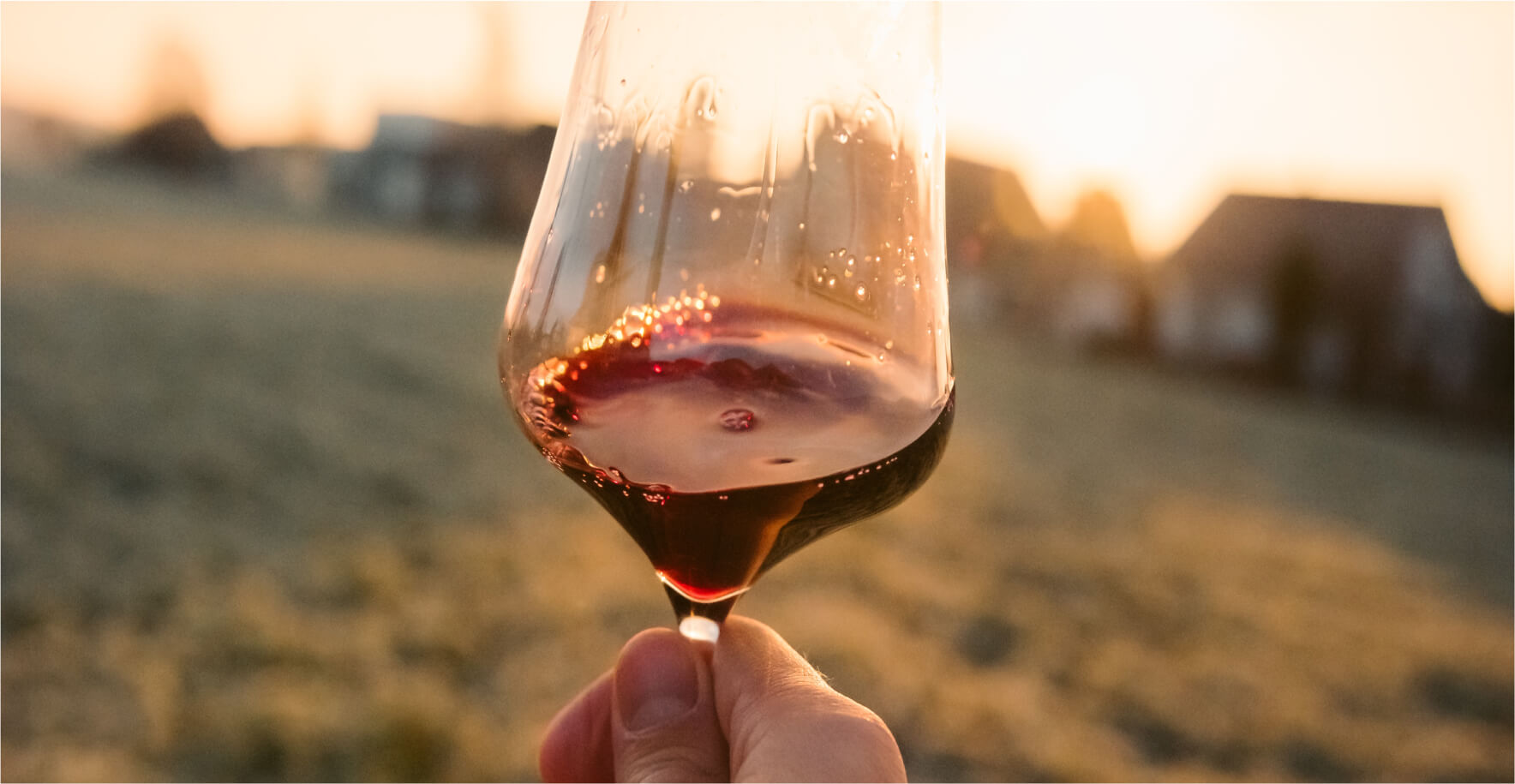 Vinsmaking på Tuen vingård