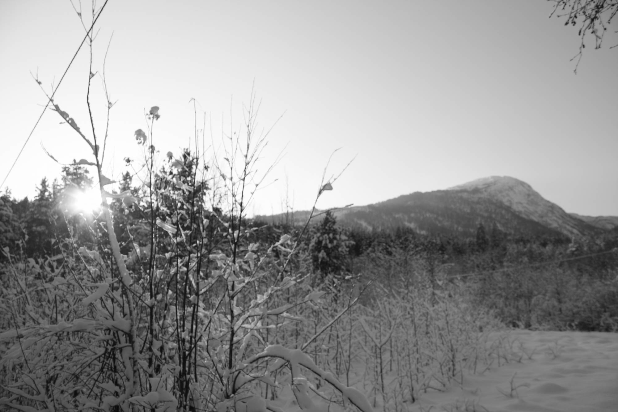 HIKE TO STOREHOGEN