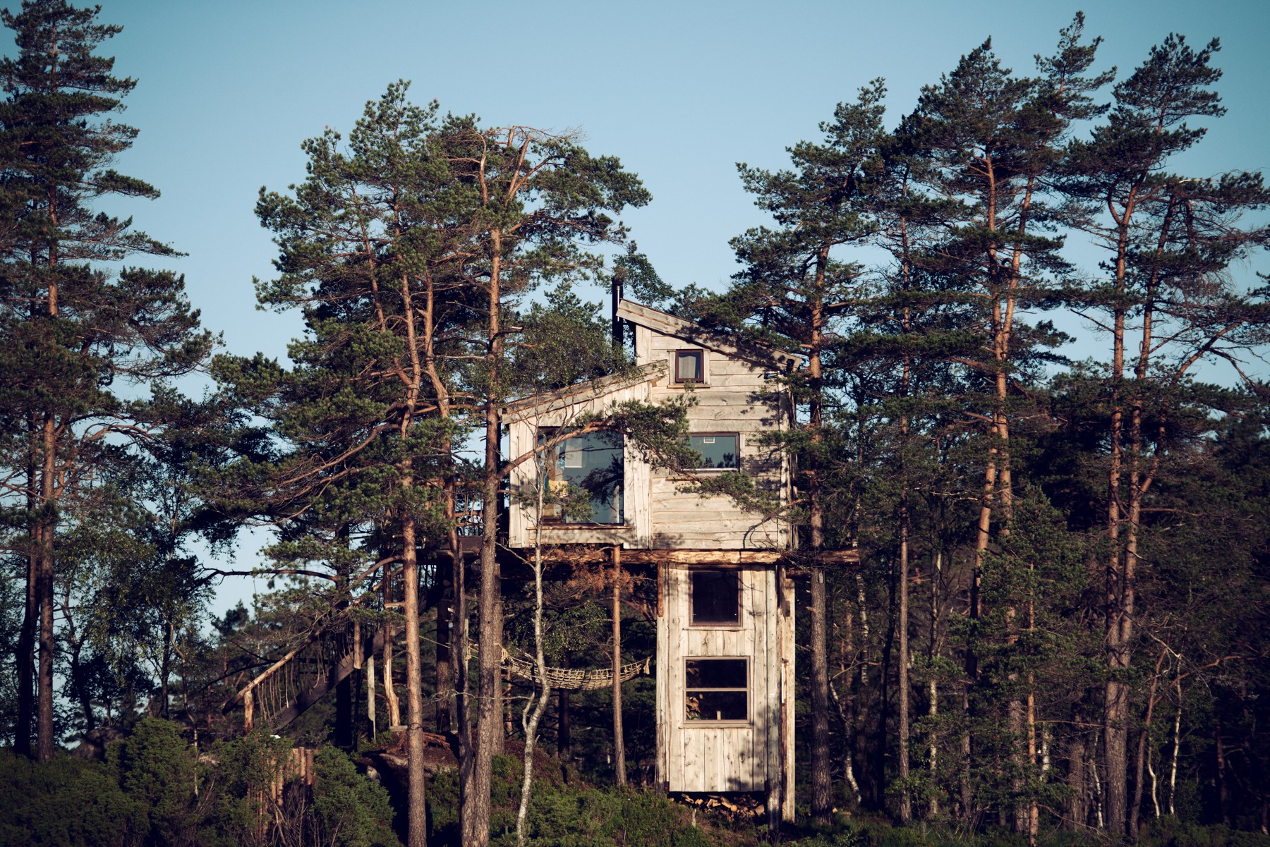 Wilderness Tower