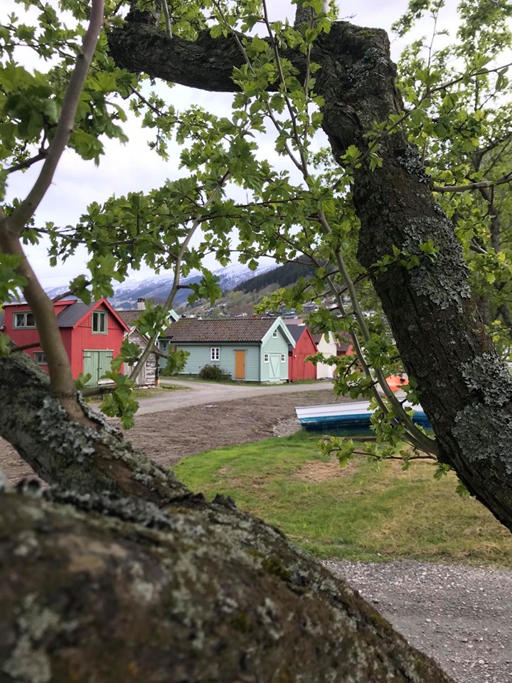 Vikøyri