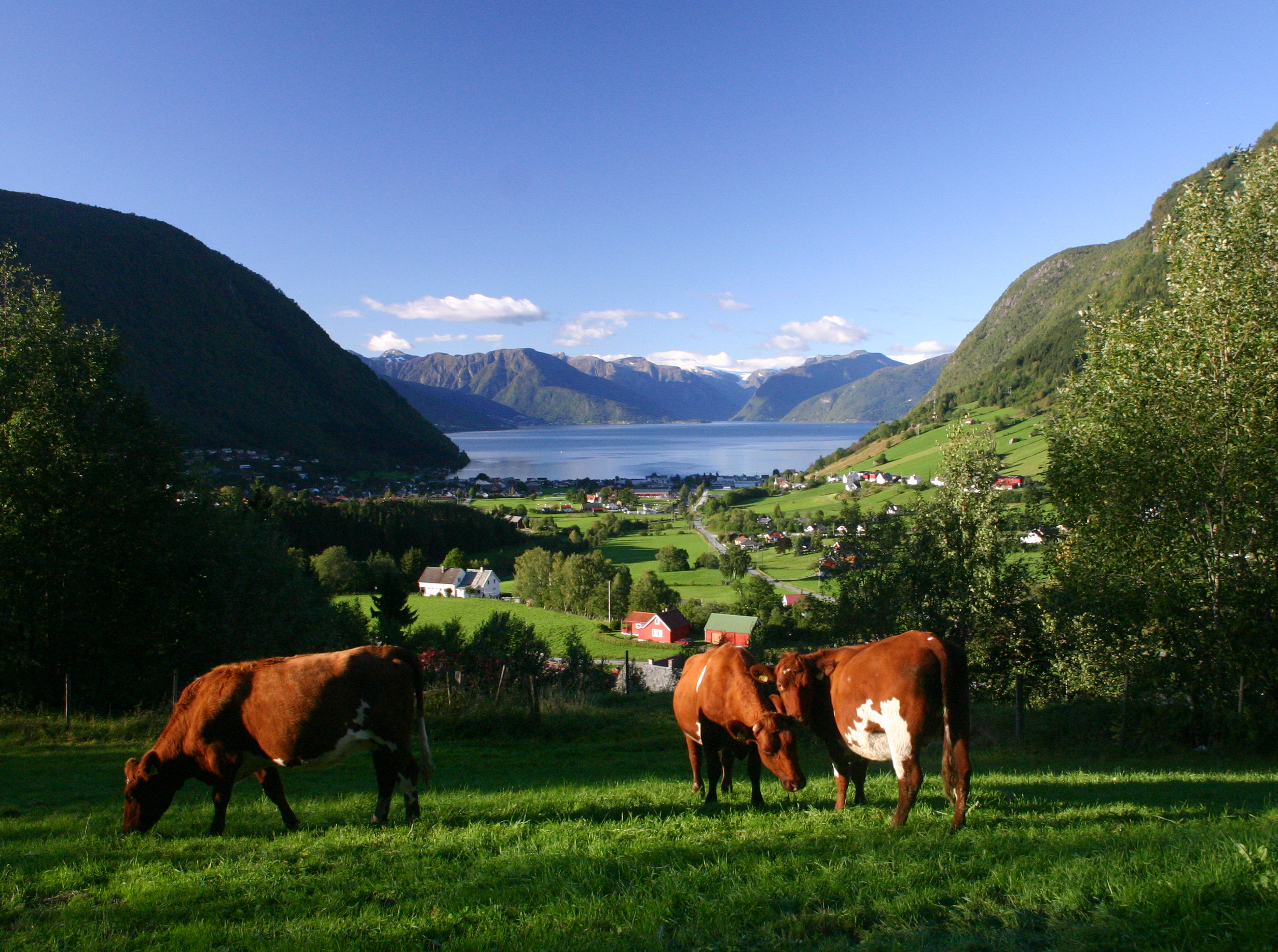 Hovsåsen