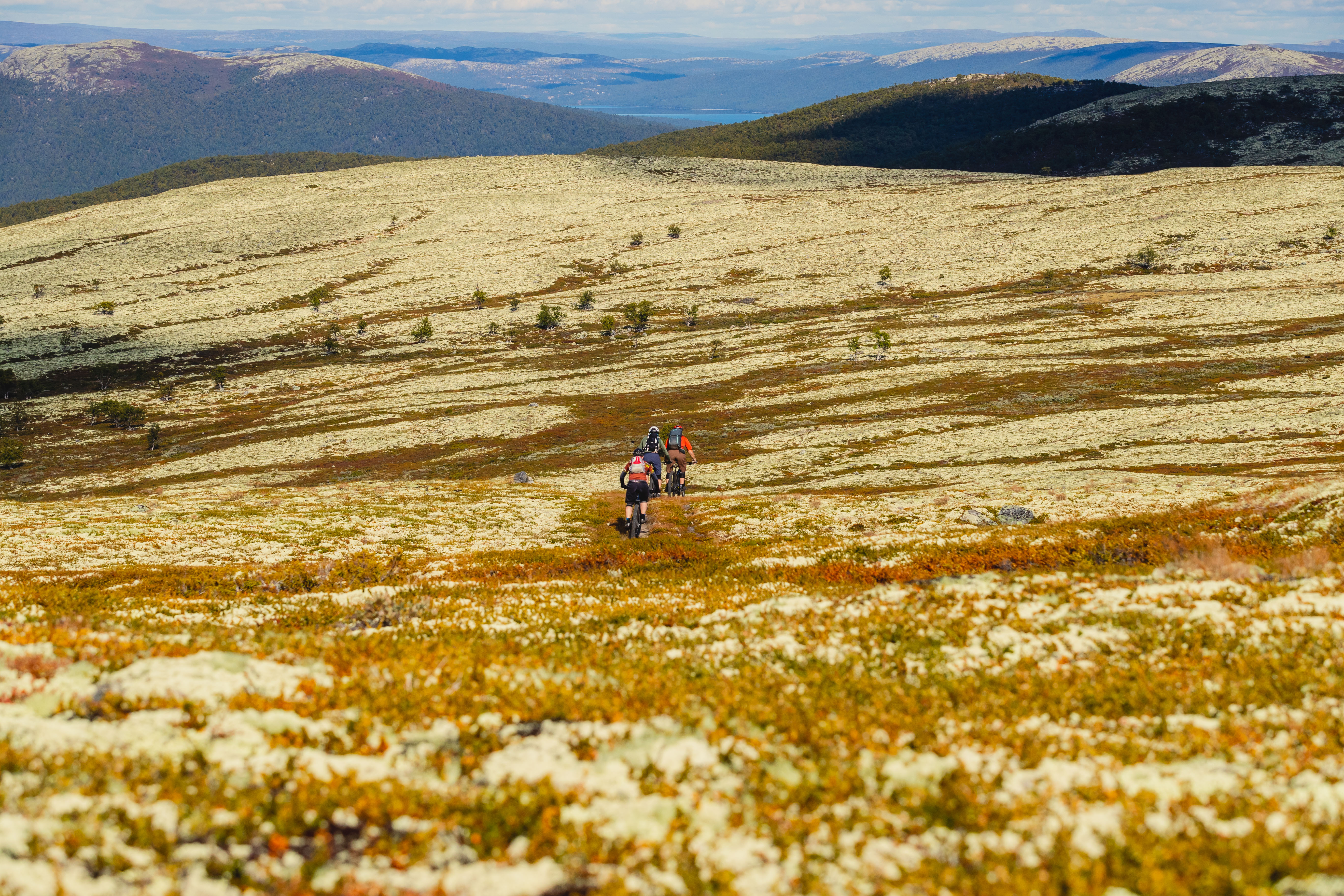 5 day tour - mountains and fjords