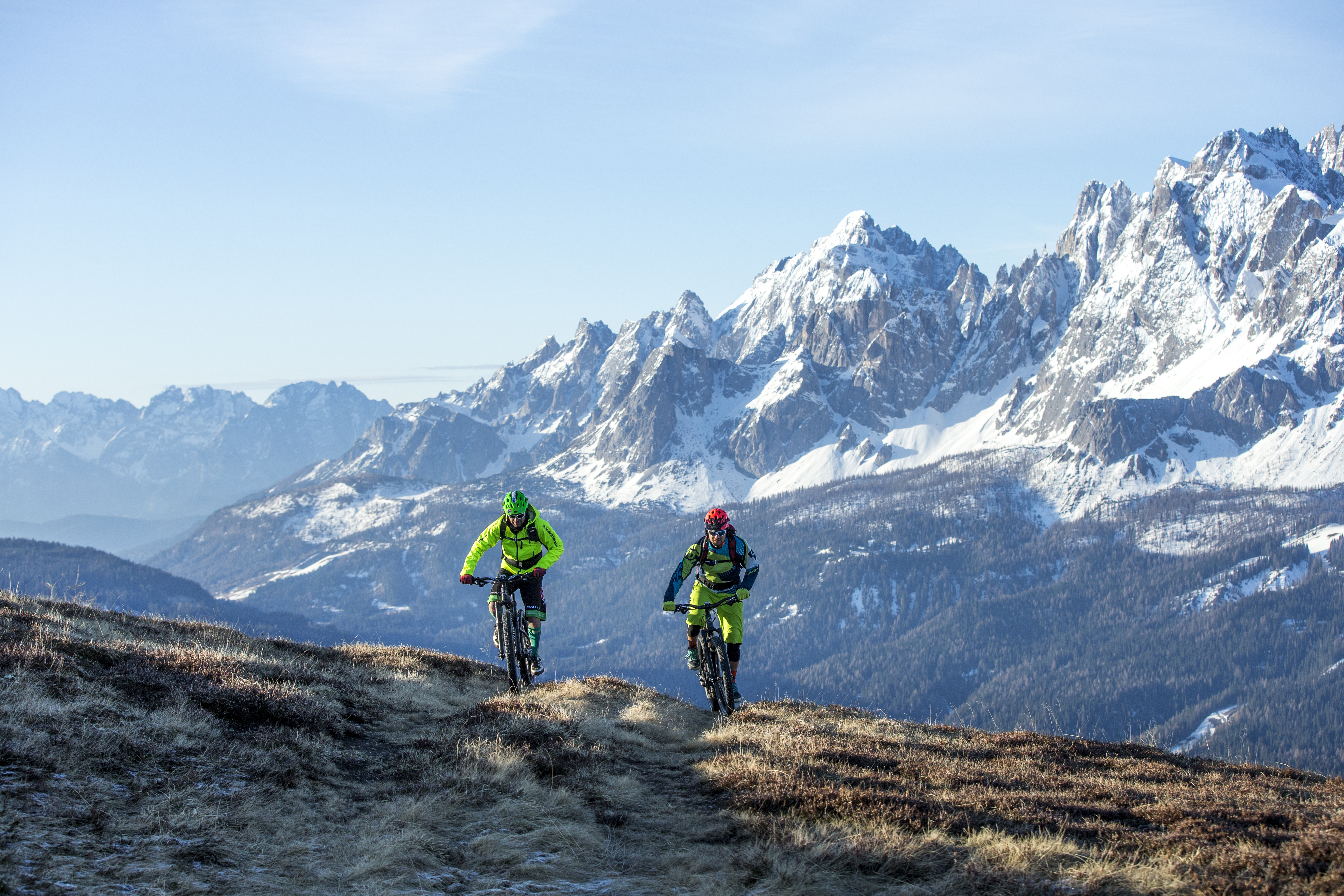Dolomittenes beste stier