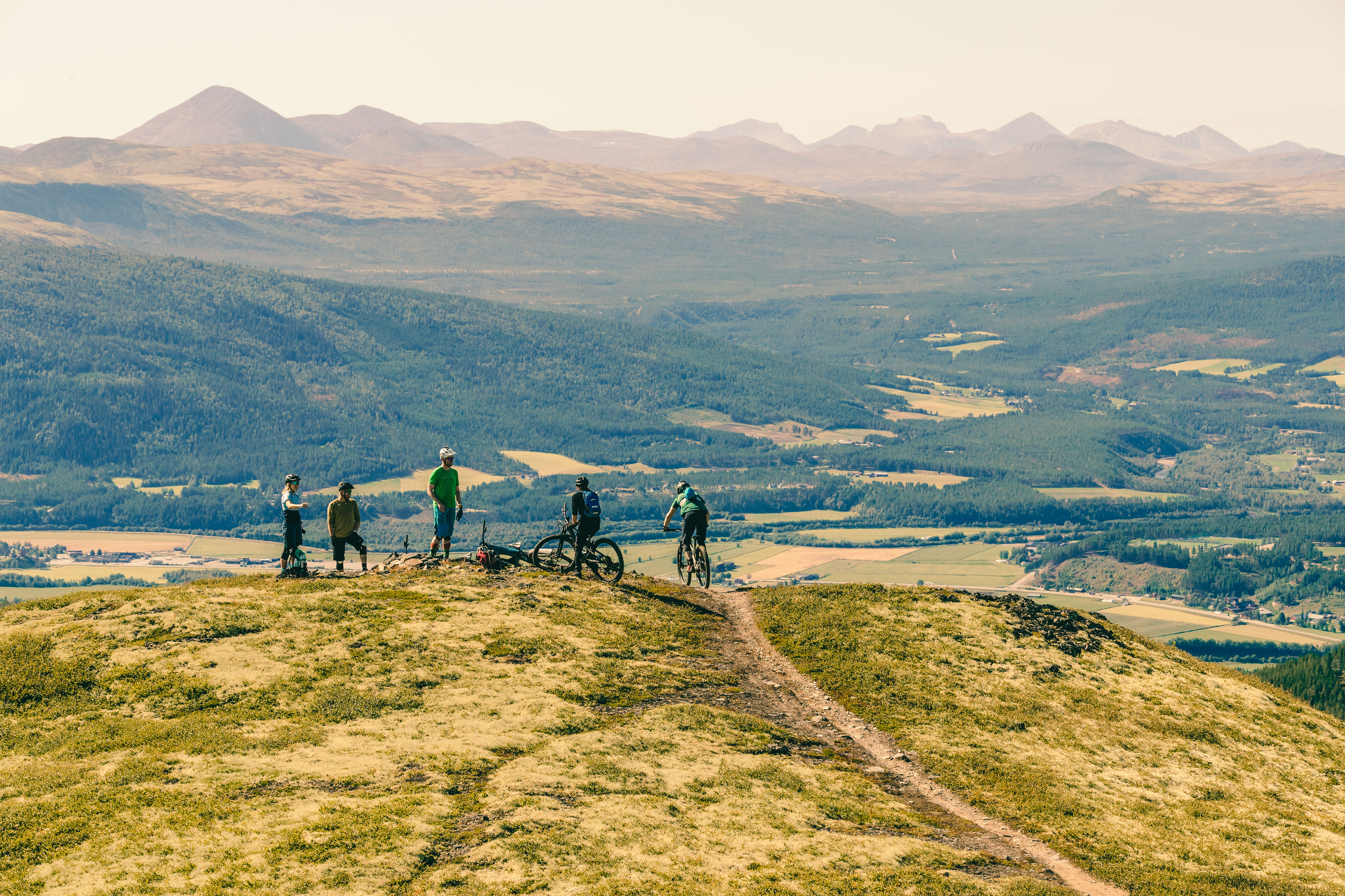 Livestock festivalpakke 2026
