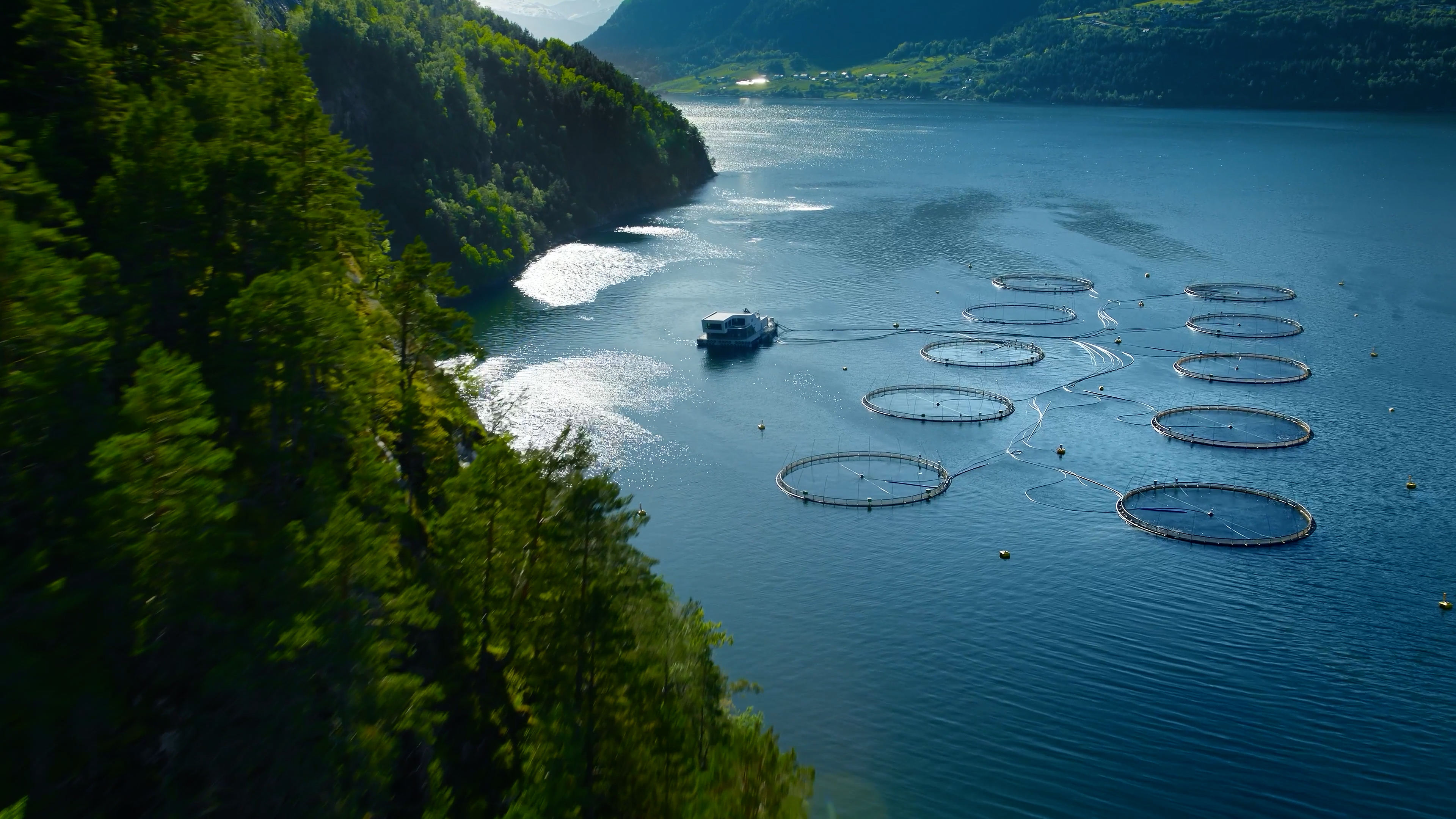 Besøk på oppdrettsanlegg - Hofseth Aqua Vindsneset