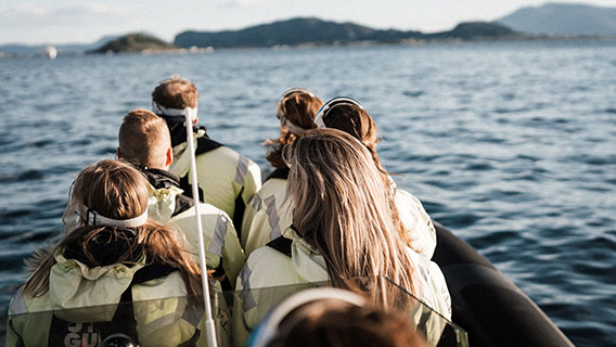 Skjærgårdssafari fra Ålesund 