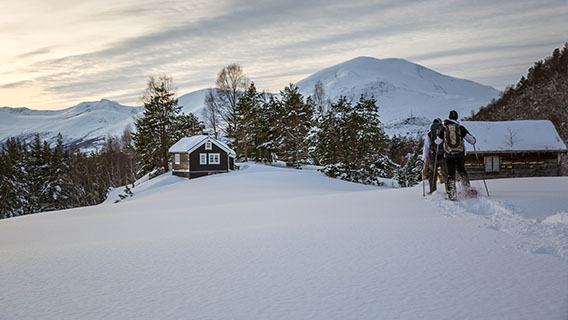 På truger ved Ålesund