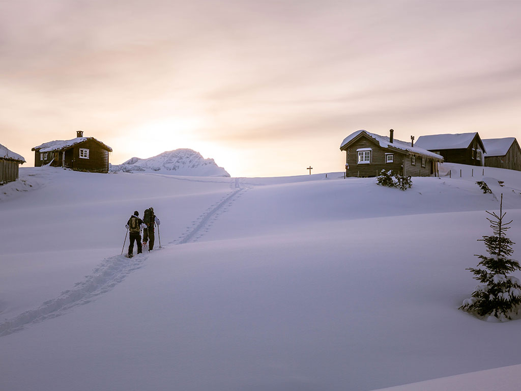 Halvdagstur med truge på Sunnmøre