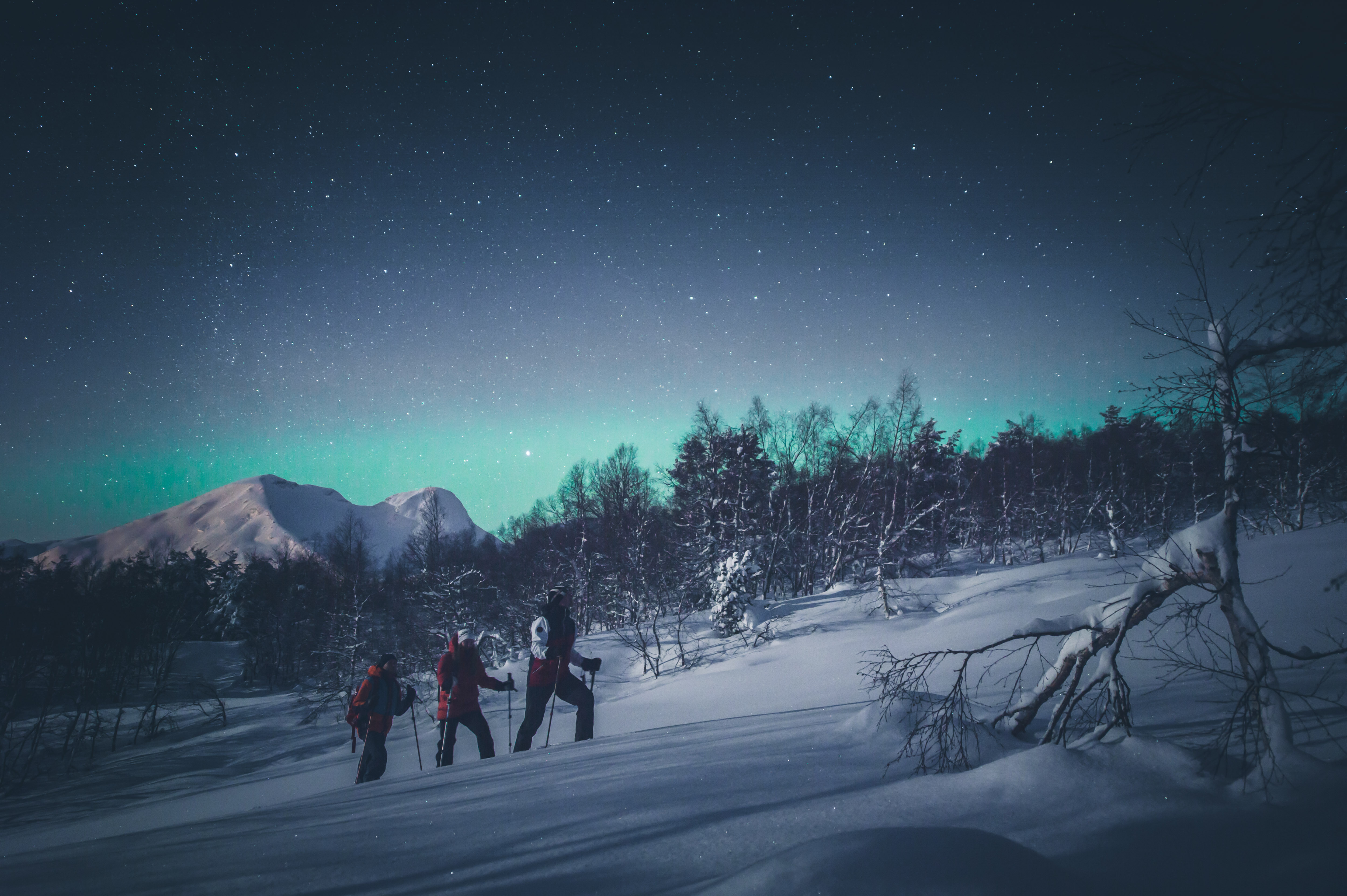 Trugetur med Nordlysjakt