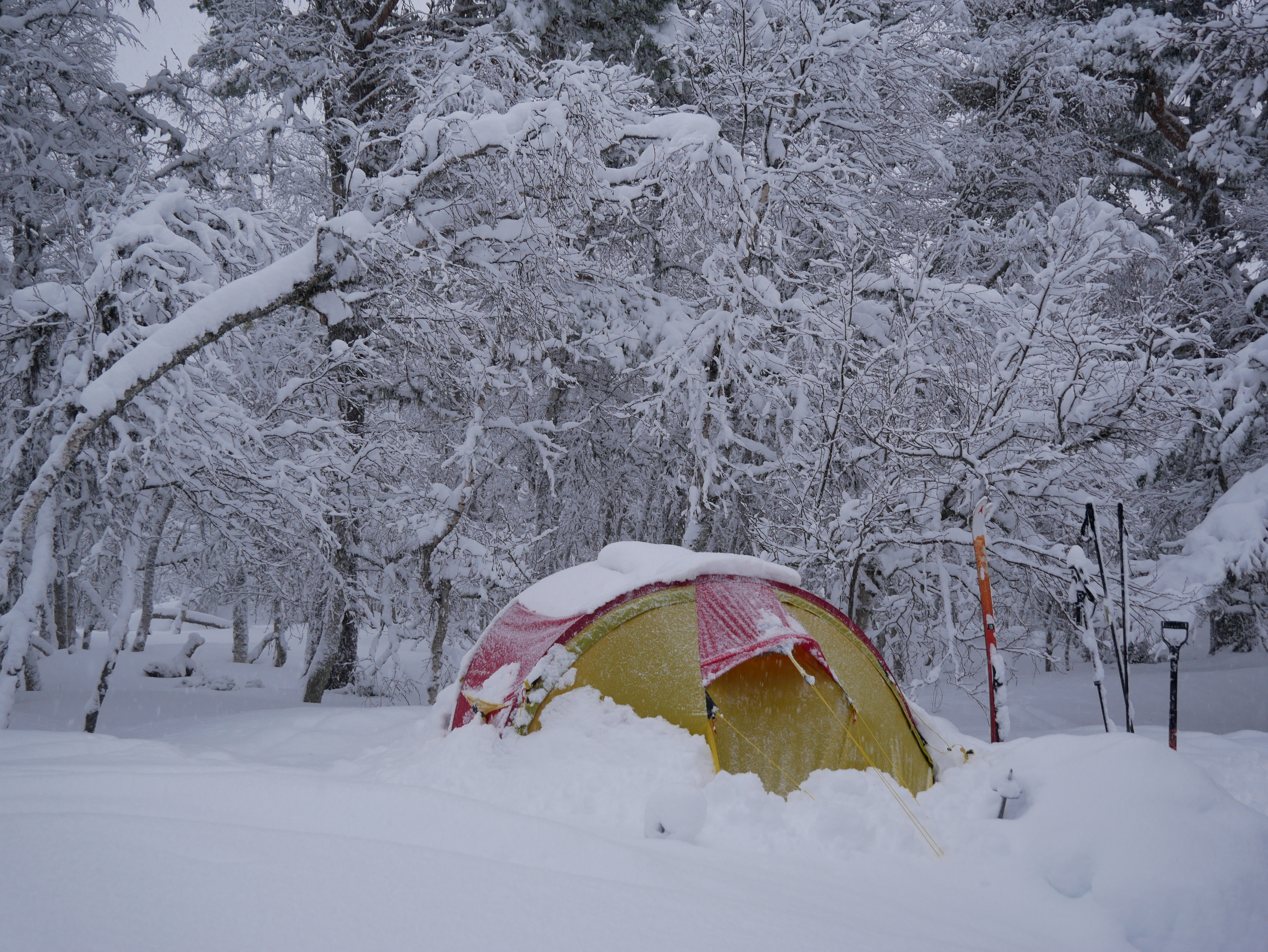 Vinterkurs for nybegynnere 
