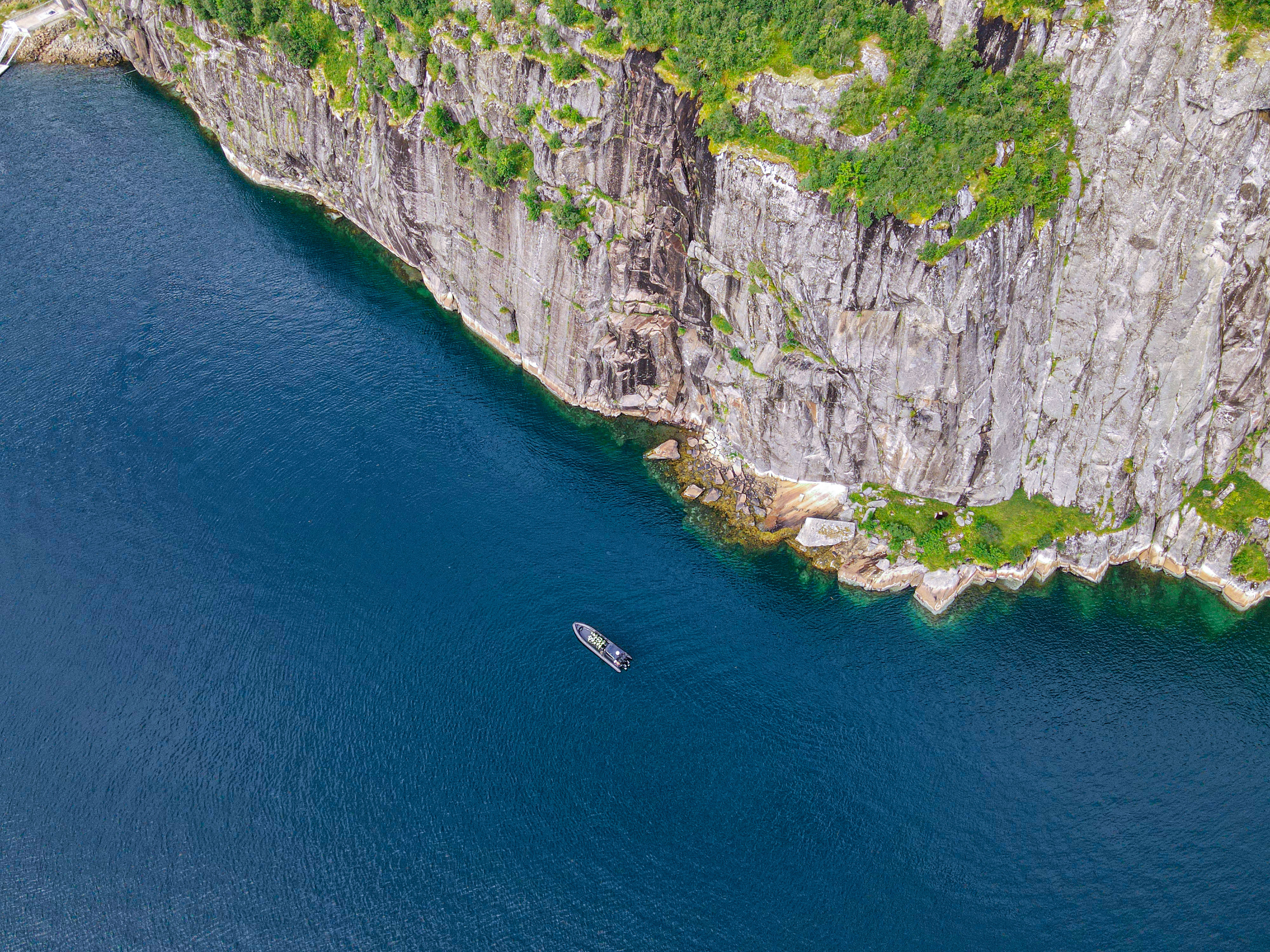 Havørnsafari til Trollfjorden