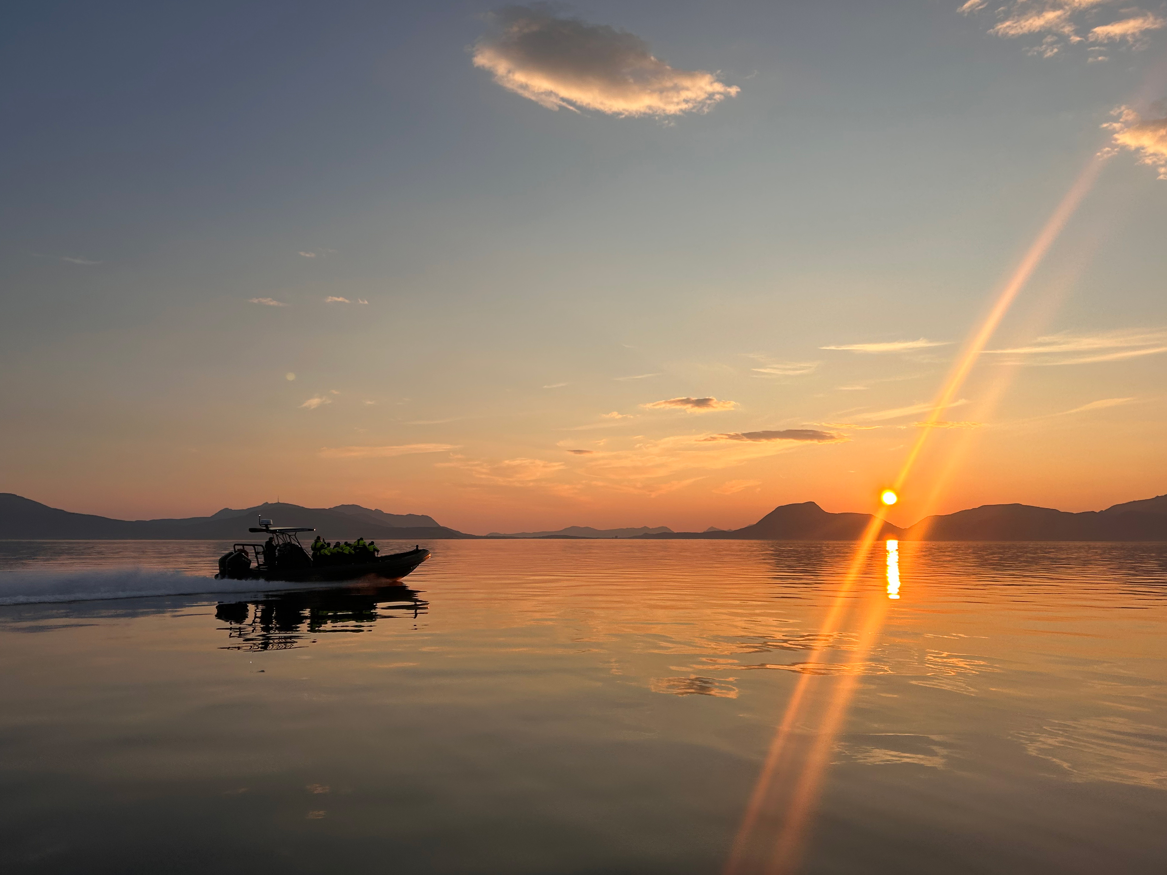 Fjord- og Havørnsafari
