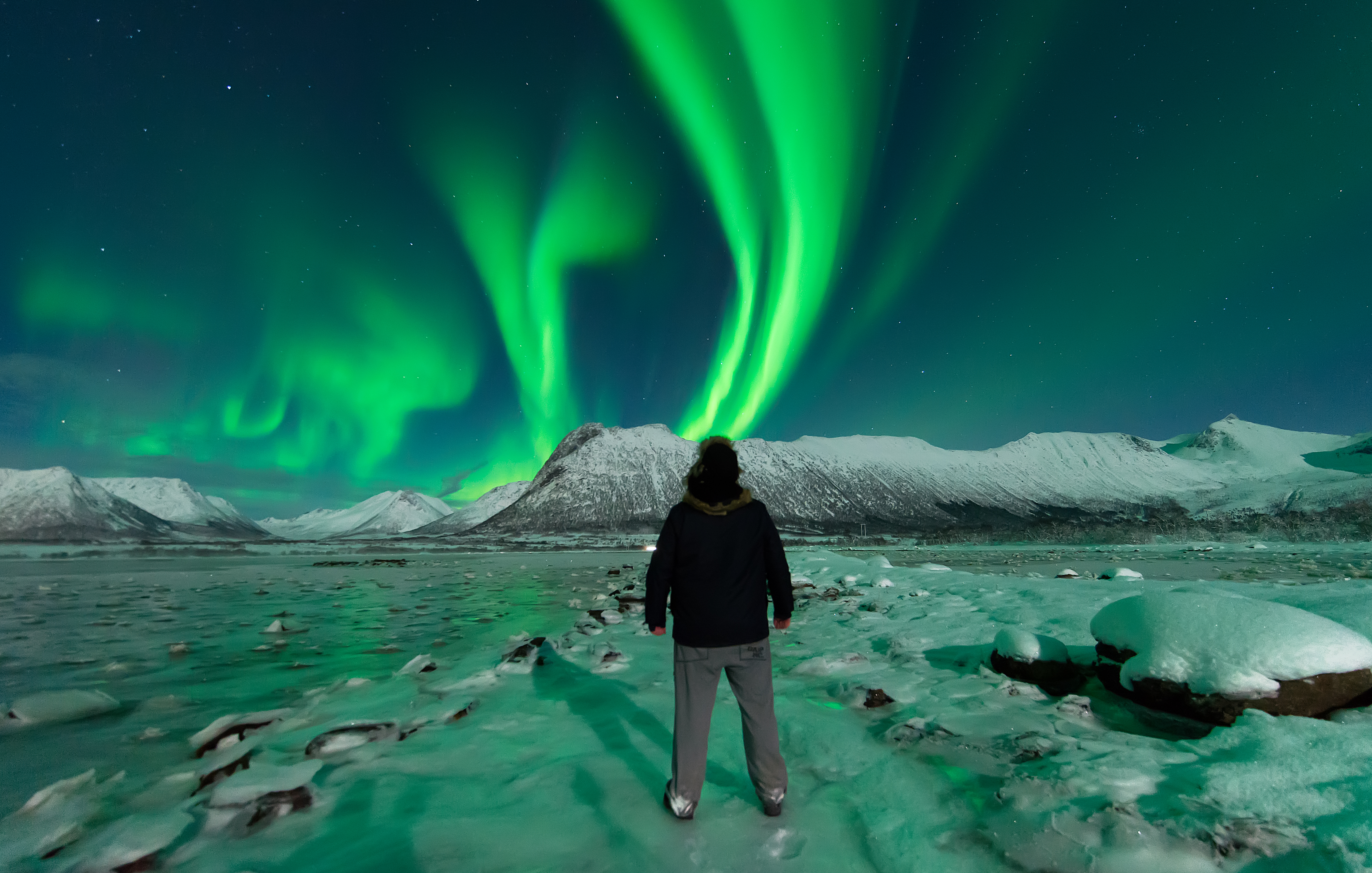Nordlys Safari