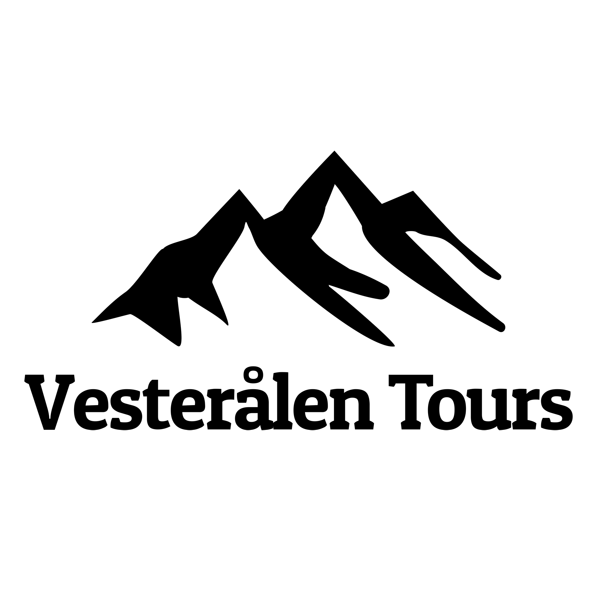Vesterålen Tours AS