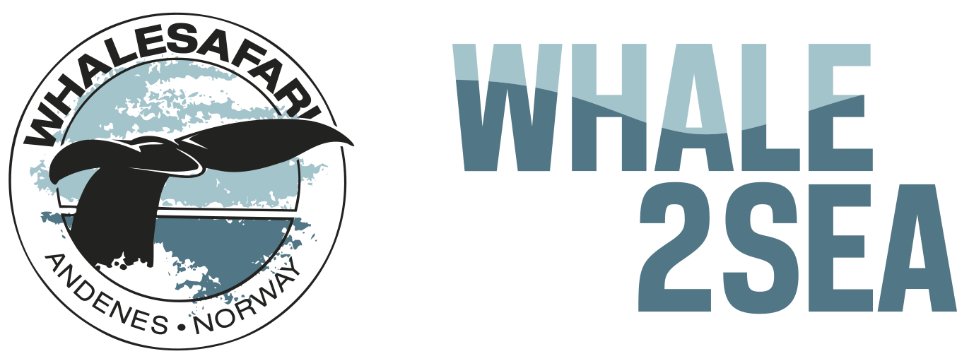 Whale2Sea / Hvalsafari AS